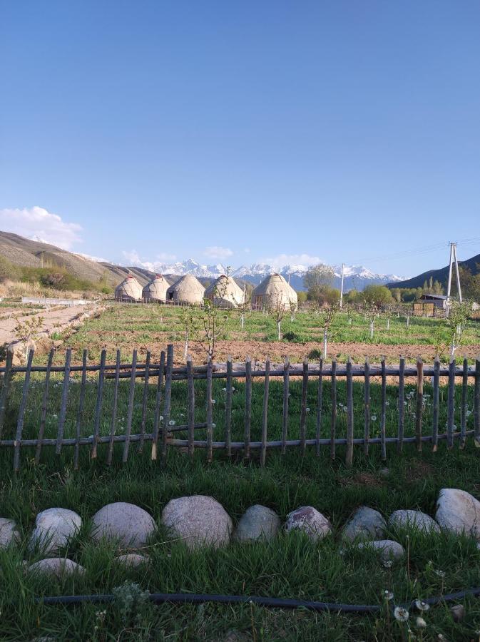 Eco Village Lodge Dzhetyoguz Exteriér fotografie