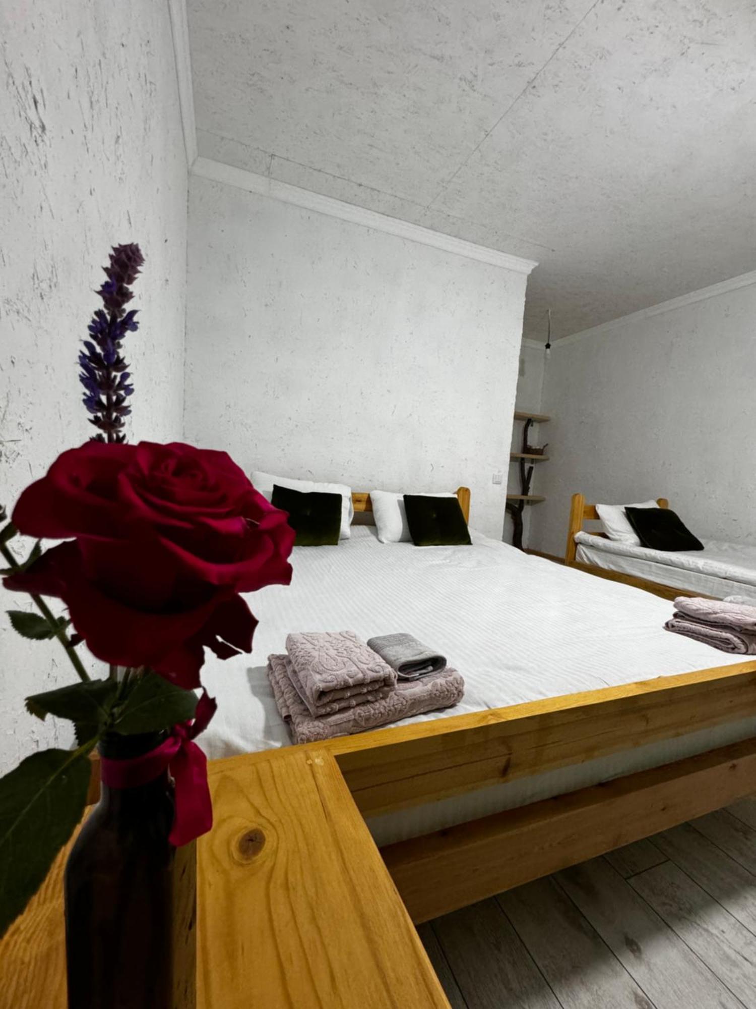 Eco Village Lodge Dzhetyoguz Exteriér fotografie
